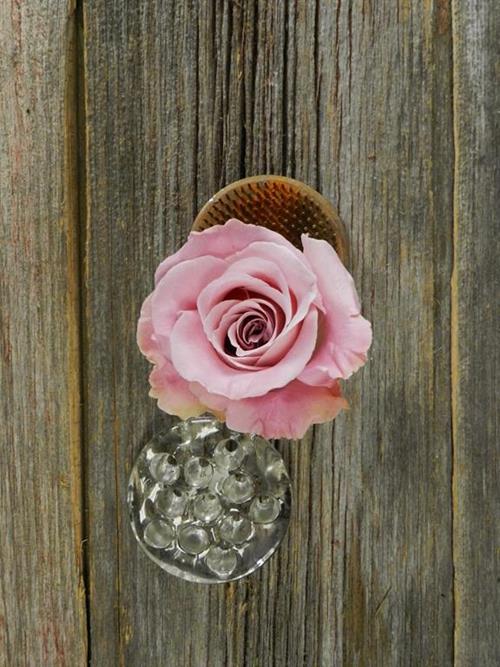 Faith  Light Pink Roses